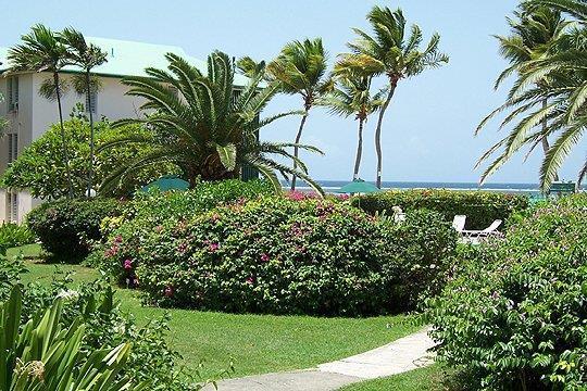 Colony Cove Beach Resort Christiansted Exterior photo
